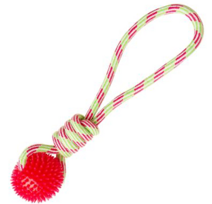 Snugarooz  Snugz Spike-O-Mite Rope Tug