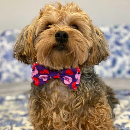 Huxley & Kent Convo Hearts Bow Tie