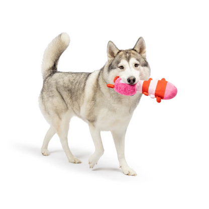 Huxley & Kent Fetchies® Love Bug Dog Toy