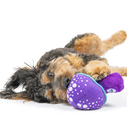 Huxley & Kent Fetchies® Mellow Mushroom Dog Toy