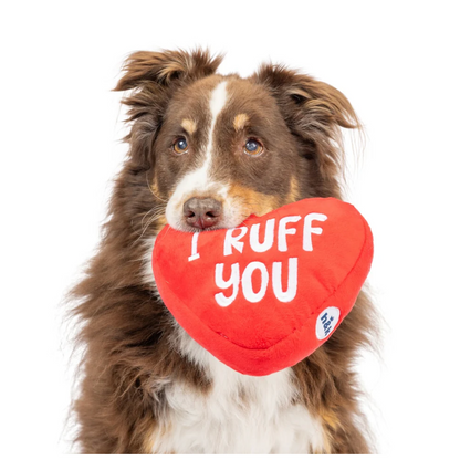 Huxley & Kent First Lick Heart Dog Toy (Double-Sided)