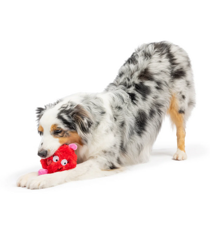 Huxley & Kent Fur Bug Dog Toy