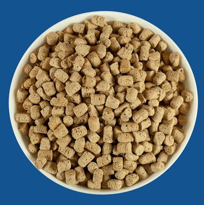 Rawbble® Freeze-Dried Food for Dogs – Turkey Recipe