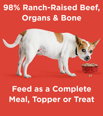 Rawbble® Freeze-Dried Food for Dogs – Beef Recipe
