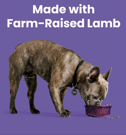 Rawbble® Dry Food for Dogs – Lamb Recipe