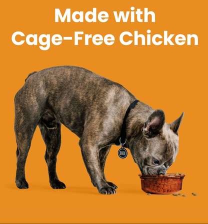 Rawbble® Dry Food for Dogs – Chicken Recipe