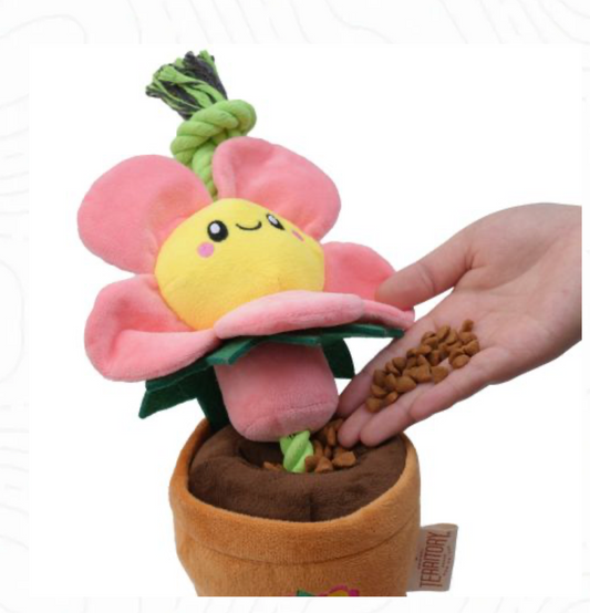 Territory Flower Treat & Tug Dog Toy