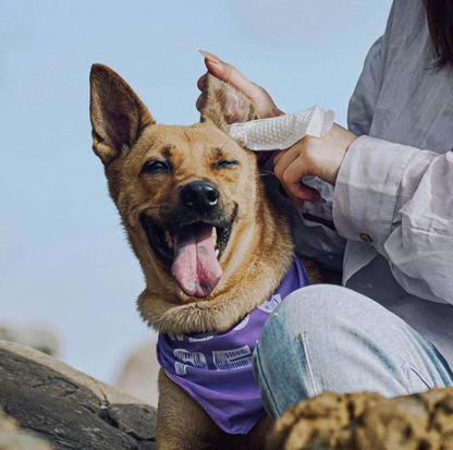 HICC PET Relief Ear Finger Dog Cat & Small Pet Wipes