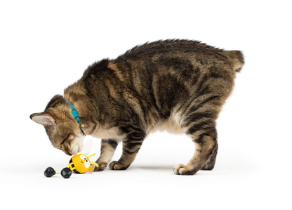 Huxley & Kent bumble bee chirpy cat toy