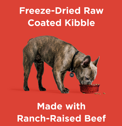 Rawbble® Dry Food for Dogs – Beef Recipe 4lb