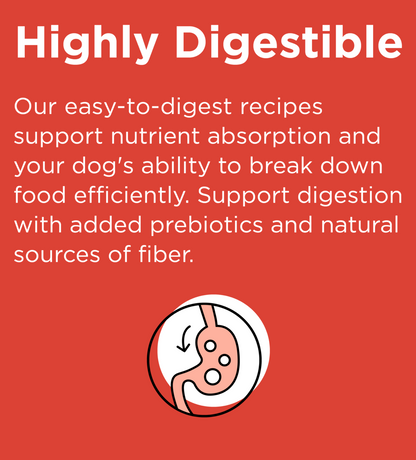 Rawbble® Dry Food for Dogs – Beef Recipe 4lb