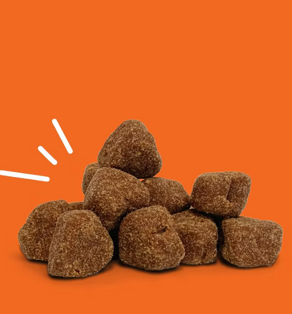 Zesty Paws Advanced Behavior Calming Soft Chews for Dogs - Turkey Flavor - 60ct