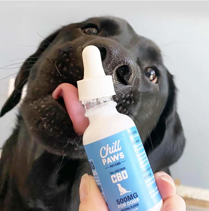 Chill Paws 500 MG CBD Oil Pet Balm
