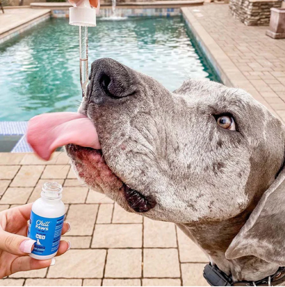 Chill Paws 500 MG CBD Oil Pet Balm